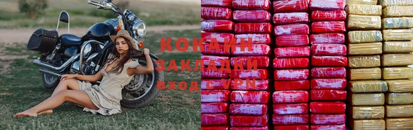 стаф Нефтекумск