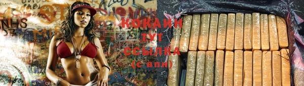 сатива Нефтегорск