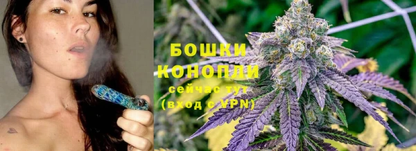 сатива Нефтегорск