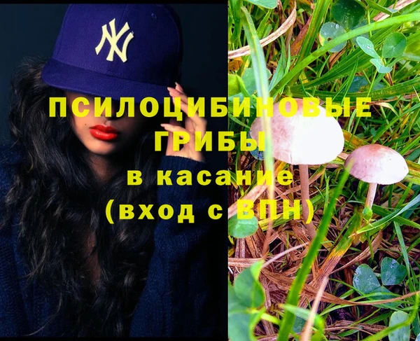 стаф Нефтекумск